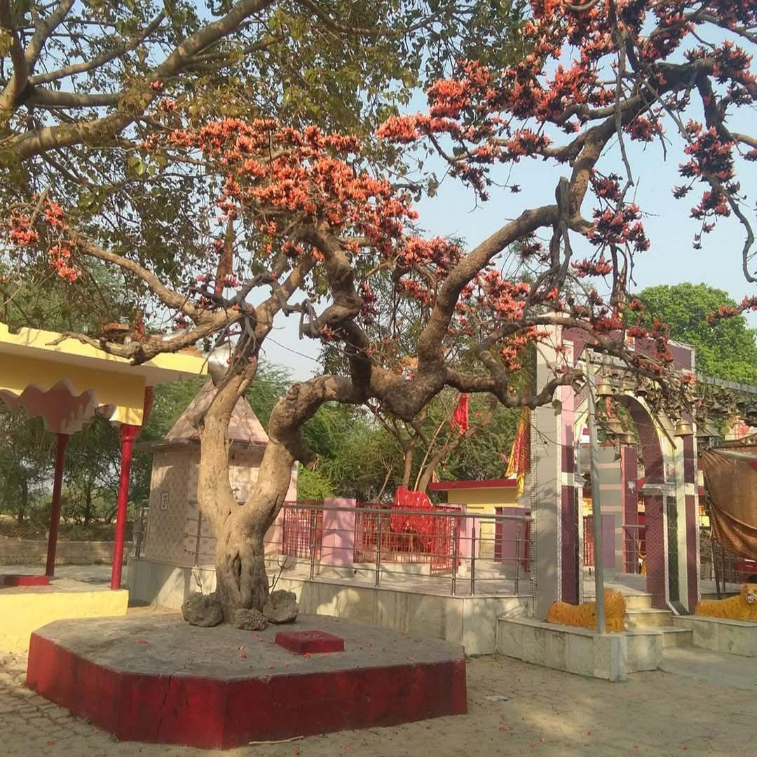 Where every wish is fulfilled – Durga Devi Shaktipeeth resounds with devotees