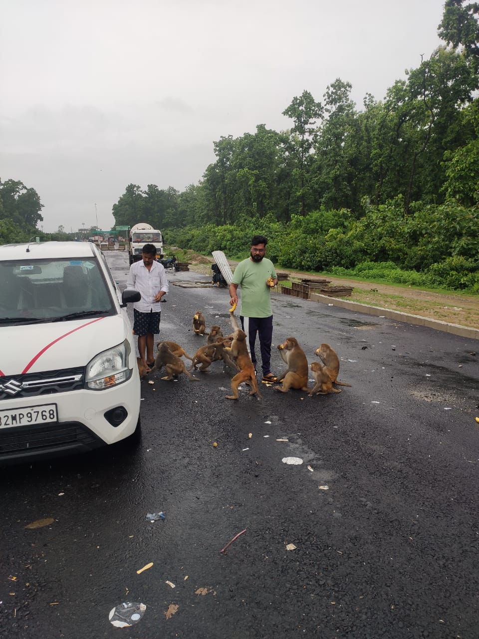 Senior District Vice President of Rashtriya Bajrang Dal Akash Jaiswal became the Messiah of monkeys