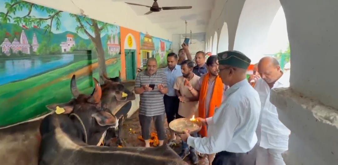 On the sixth day of Gopashtami festival, Mother Cow was bathed and worshipped.