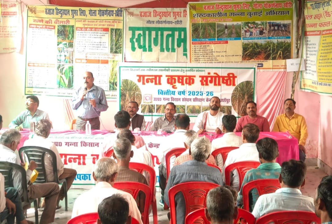 Get double benefit by doing intercropping with autumn sugarcane:- Senior General Manager Sugarcane