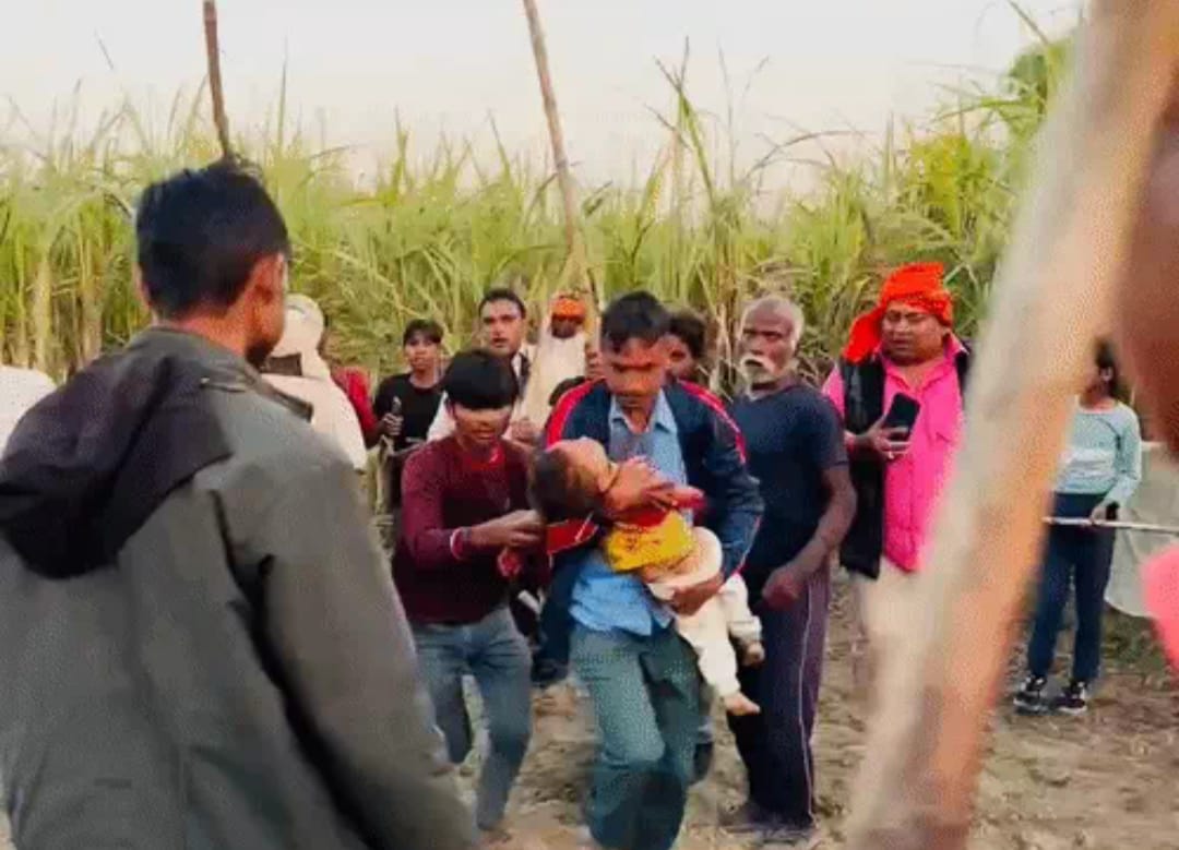 भेड़िया हमला बहराइच, UP भेड़िया आतंक, बहराइच बच्चे की मौत, भेड़ियों का एनकाउंटर, आदमखोर भेड़िए यूपी, कैसरगंज भेड़िया हमला, खोरिया सफीक बच्ची हमला, CM योगी बहराइच आदेश, Bahraich wolf attack, UP wolf terror, Child killed by wolves, Man-eater wolves Uttar Pradesh, Bahraich tragedy, Yogi Adityanath orders wolf encounter, Wolf kills two kids in 8 hours, Kaiserganj wolf incident, भेड़िया खौफ, बहराइच मासूम हमला, गन्ने के खेत भेड़िया, यूपी वन विभाग कार्रवाई, Wolf menace UP, Bahraich wildlife attack, Child victim wolf attack, Wolf encounter operation, #BahraichWolfAttack, #UPBreakingNews, #WolfTerror, #YogiGovernment, #BahraichTragedy, #UPCrime, #ManojShuklaReports,