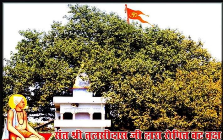 500 year old miraculous banyan tree born from the tooth-brush of Saint Shiromani Tulsidas ji