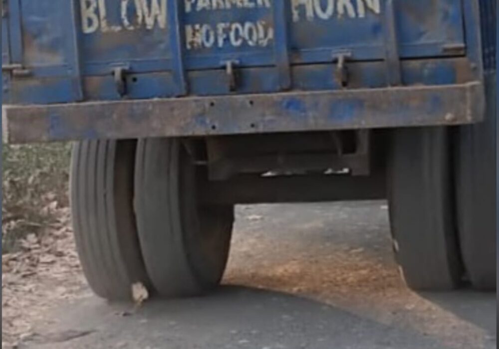 Illegal soil mining is going on day and night, bypassing the standards.