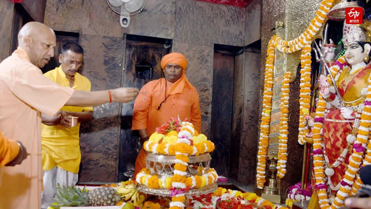 योगी आदित्यनाथ बलरामपुर दौरा खबर, बलरामपुर देवी पाटन मंदिर पूजा समाचार, थारू जनजाति छात्र मुलाकात सीएम योगी, बलरामपुर विकास कार्य समीक्षा खबर, Yogi Adityanath Balrampur visit news, Devi Patan Temple Balrampur CM Yogi visit, Tharu tribe students meeting CM Yogi update, Uttar Pradesh CM Balrampur development review news, district news Balrampur Uttar Pradesh,सीएम योगी देवी पाटन मंदिर दर्शन, बलरामपुर नवरात्रि मेला तैयारी खबर, गौशाला में योगी आदित्यनाथ गौसेवा, बलरामपुर विकास बैठक समाचार, Yogi Adityanath Devi Patan temple visit, Balrampur Navratri fair preparation news, CM Yogi cow service gaushala update, Balrampur development review meeting news,योगी आदित्यनाथ बलरामपुर दौरा 2026 खबर, देवी पाटन मंदिर बलरामपुर मुख्यमंत्री दर्शन, थारू जनजाति छात्र मुलाकात सीएम योगी, बलरामपुर जिला उत्तर प्रदेश विकास खबर, Yogi Adityanath Balrampur visit 2026 news, Devi Patan Temple Balrampur CM Yogi update, Tharu tribe students meeting CM Yogi news, Balrampur Uttar Pradesh district political news,#YogiAdityanath #Balrampur #DeviPatanTemple #UPNews #TharuTribe #NavratriMela #UttarPradesh #PoliticalNews #DevelopmentNews #BreakingNews
